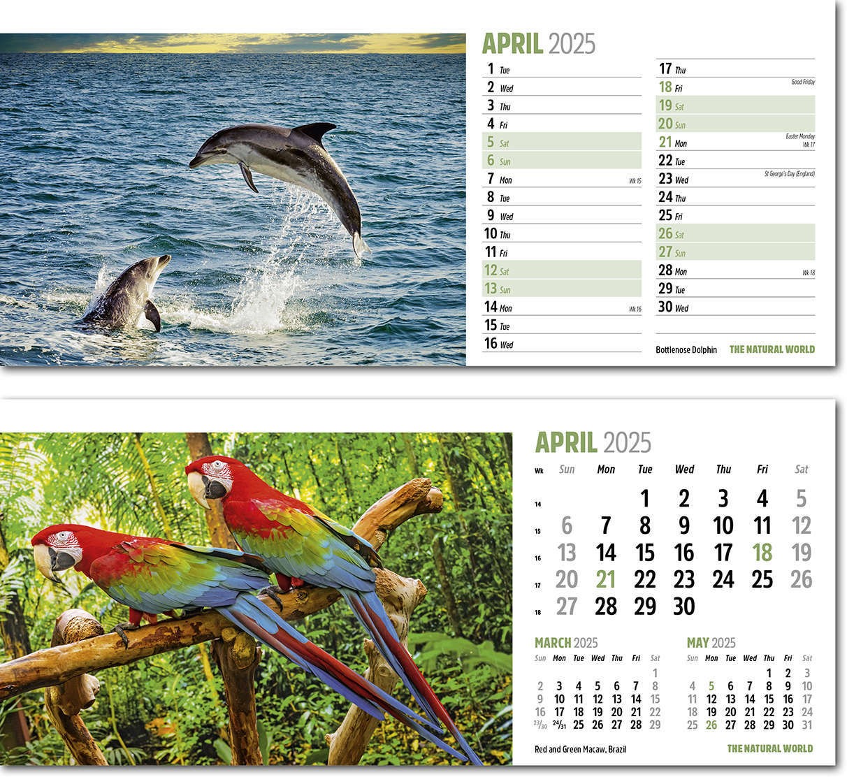 The Natural World Desk Calendar