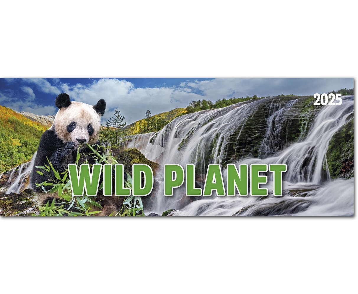 Wild Planet Desk Calendar