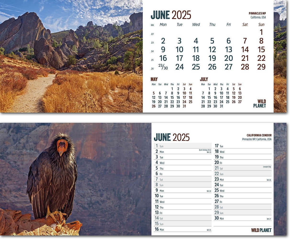 Wild Planet Desk Calendar
