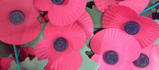 Remembrance Poppies