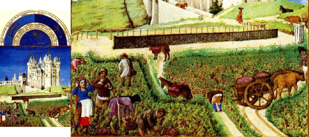 book-of-hours-september-harvest-composite-image-for-mid-way-through-blog
