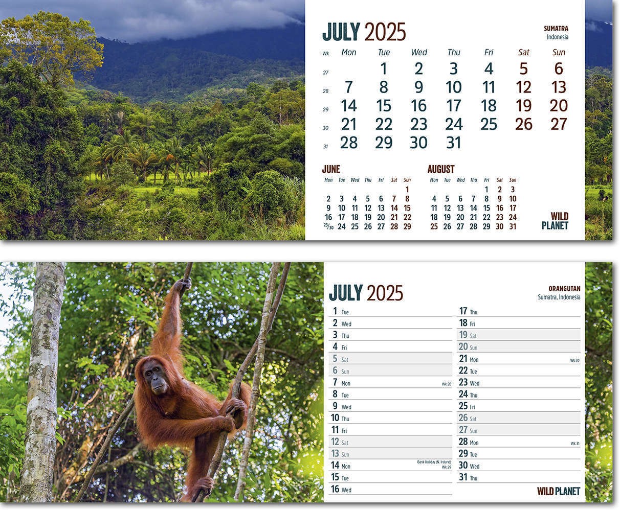 Wild Planet Task Station Desk Calendar