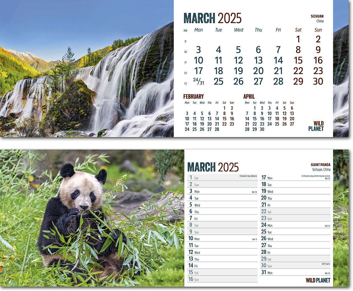Wild Planet Task Station Desk Calendar