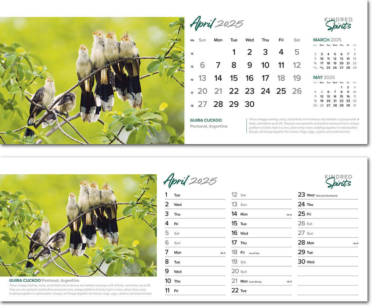 Kindred Spirits Desk Calendar