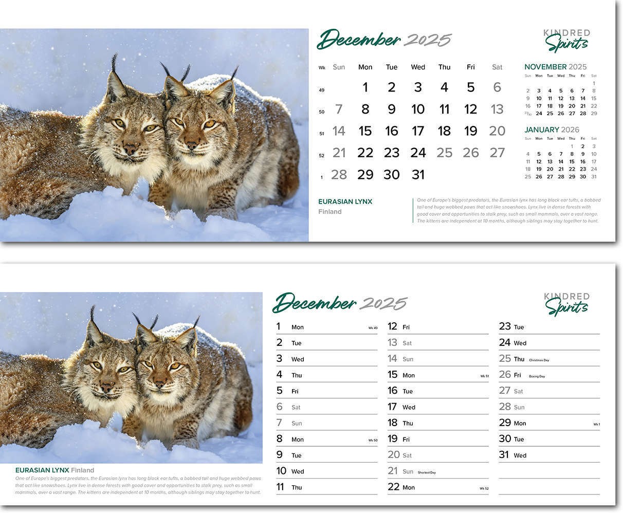 Kindred Spirits Desk Calendar