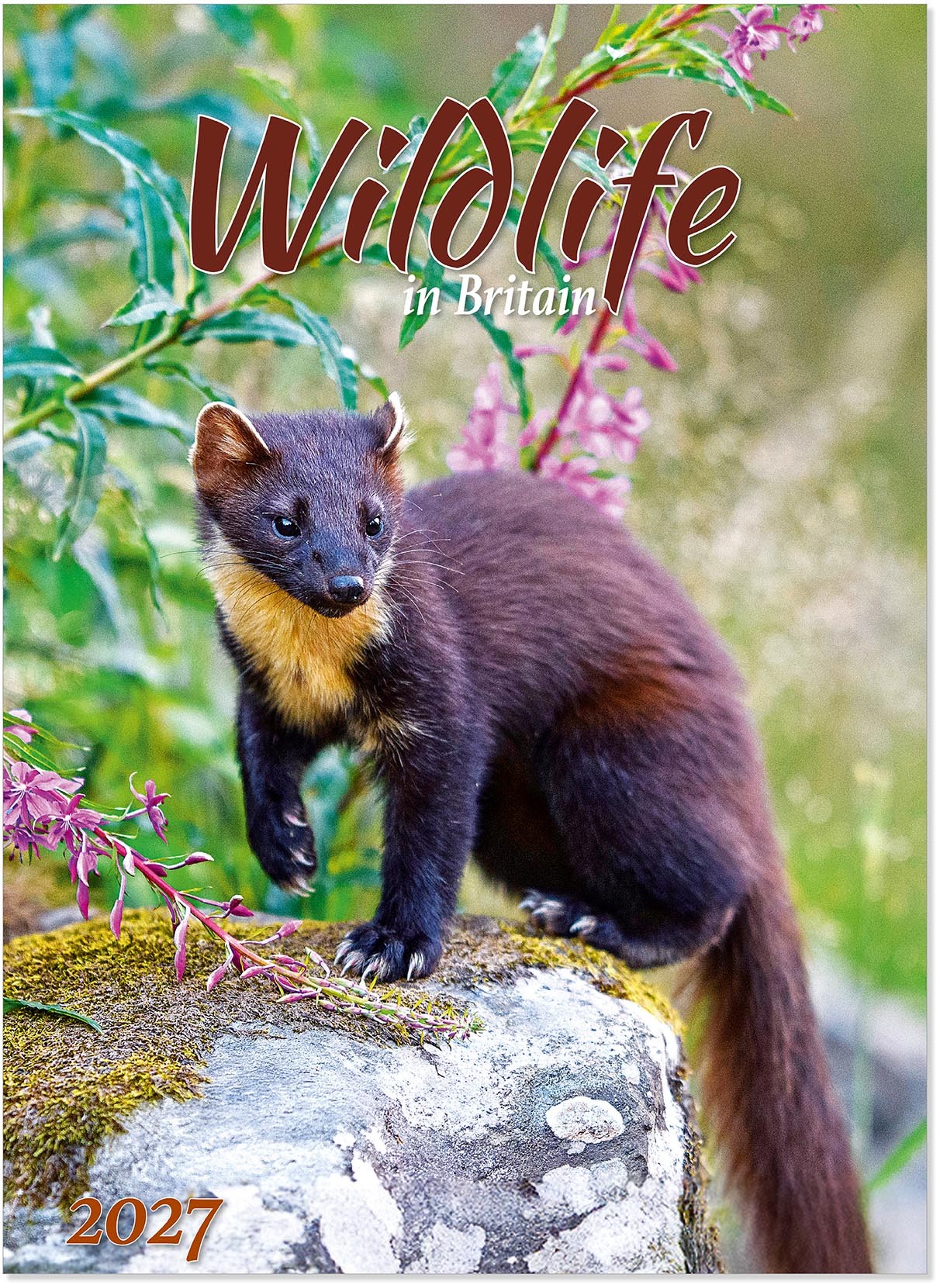Calendars 2026 2026 British Wildlife Calendar - Pollyanna Pickering ...