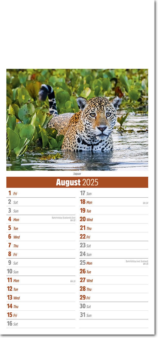 Slimline World Wildlife Compact Calendar