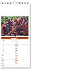 Slimline World Wildlife Compact Calendar