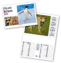 Postage Saver Promotional Calendars