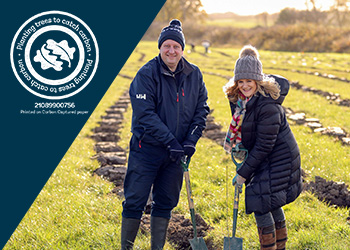 Sustainable Production